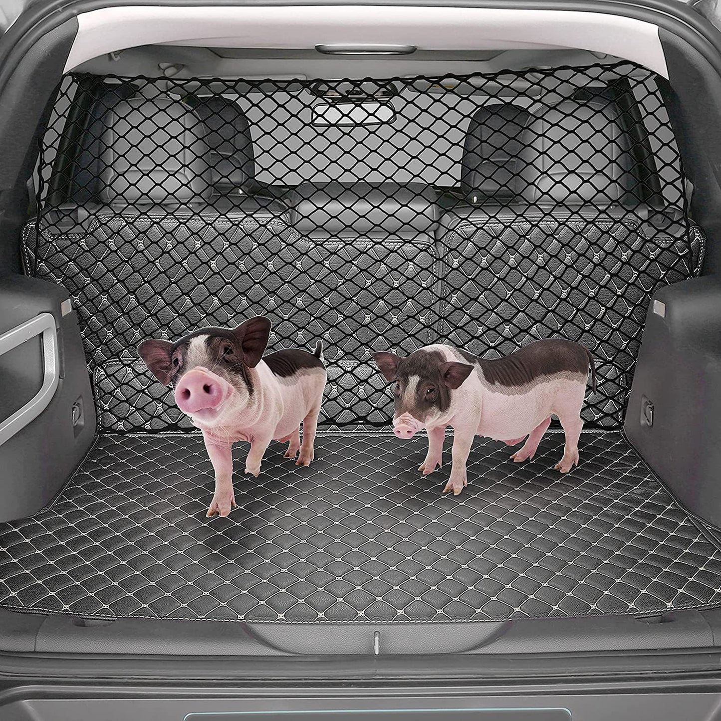 Dog Protective Isolation Blocking Hatchback Net